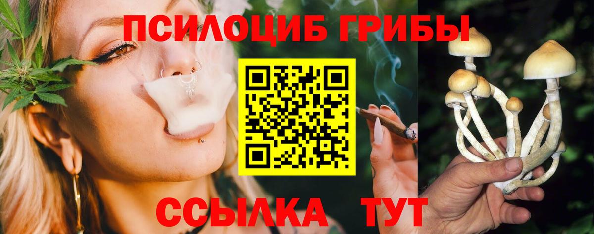 Галлюциногенные грибы мицелий  Вход с VPN  Орск 